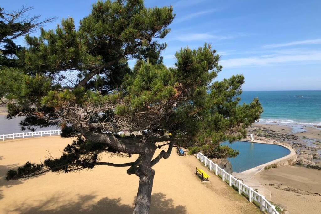 Belle Maison Neo-Bretonne A 5 Minutes De La Mer Tréveneuc 외부 사진